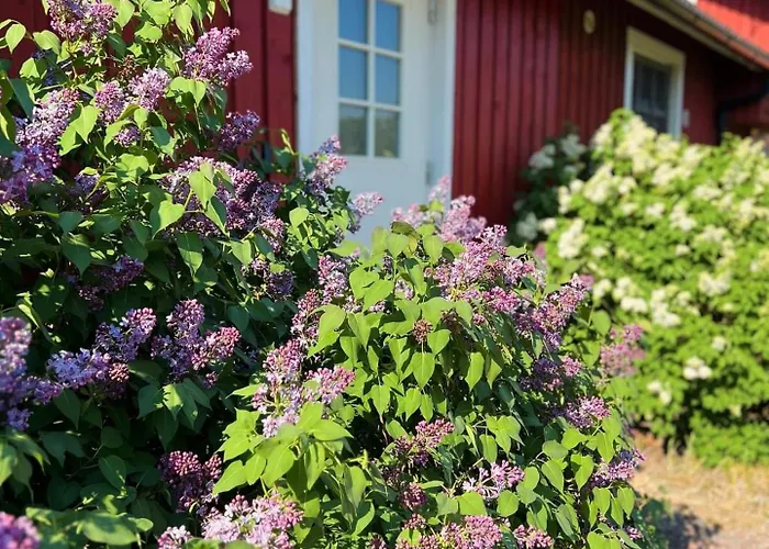 Antons Gaesthem * Kökar